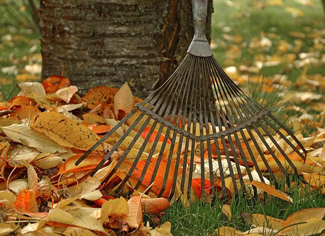  Podzimní práce na zahradě – 5 věcí, na které nezapomenout