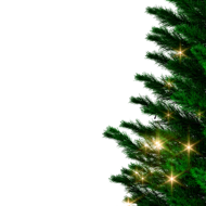 Umělý vánoční stromeček RUDOLPH se světýlky, 150 cm, zelená