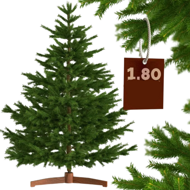 Umělý vánoční stromeček FROST, 180cm, zelená