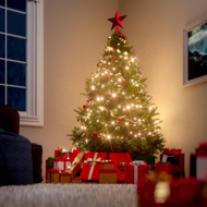 Umělý vánoční stromeček RUDOLPH, 150cm, zelená