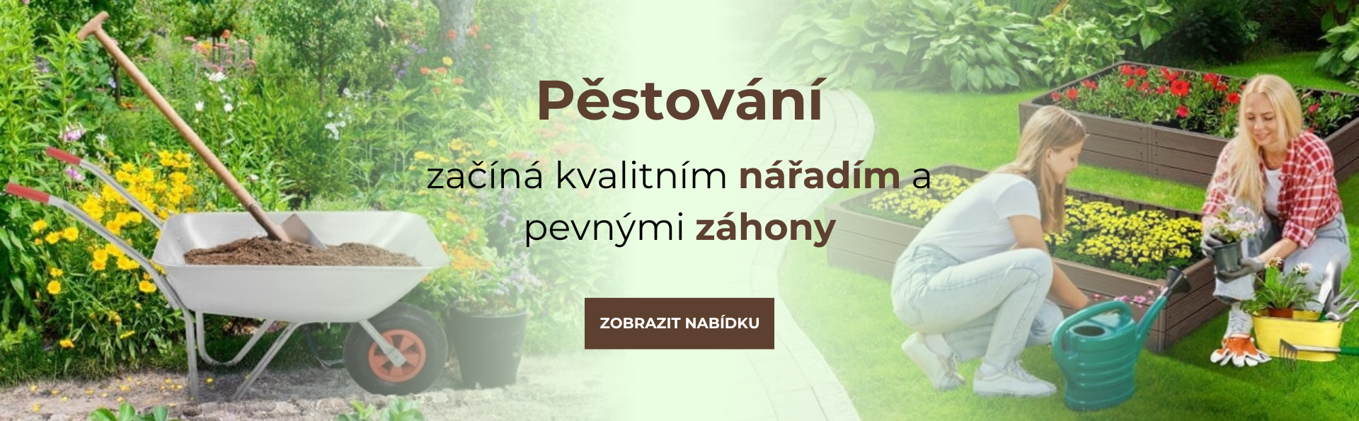 Pěstovaní