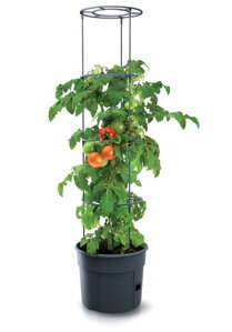 Květináč na pěstování rajčat TOMATO GROWER antracit