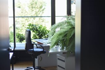 5 tipů, jak si vytvořit příjemnou kancelář