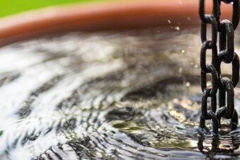 Tipy, jak správně používat sudy na dešťovou vodu 